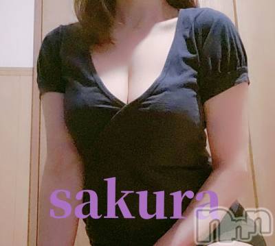㡦ȯĥꥢ󥺥ƺʿ Ź   (祯ӡ˥奦ƥ) SPбġ(38)34̥֥֤䤹🌙