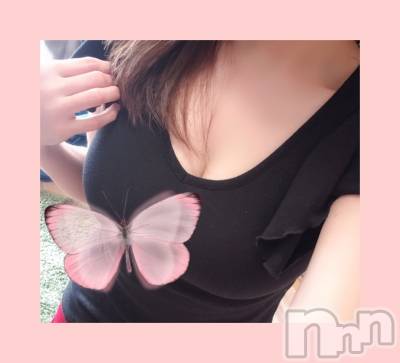 㡦ȯĥꥢ󥺥ƺʿ Ź   (祯ӡ˥奦ƥ) SPбġ(38)313̥֥🦋жͽ🦋