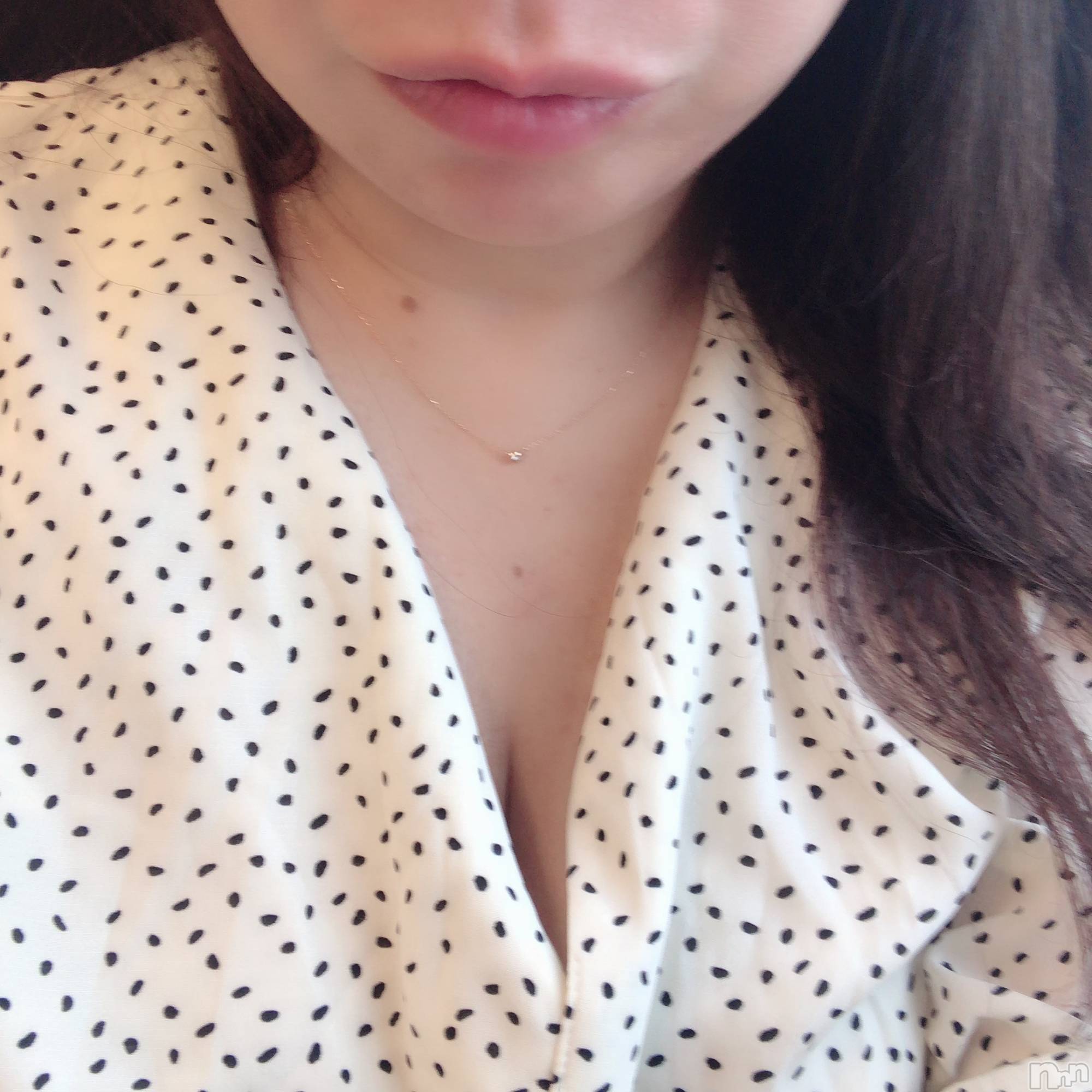 㡦ȯĥꥢ󥺥ƺʿ Ź   (祯ӡ˥奦ƥ) 2019ǯ1019̥֥ɤ