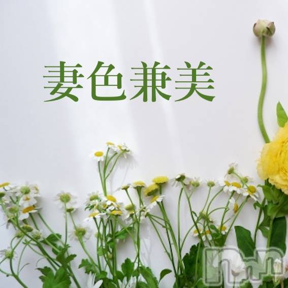 󥺥ƺʿ Ź   (祯ӡ˥奦ƥ) 2024ǯ59̥֥Green season fair🌿