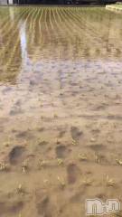 新潟メンズエステ妻色兼美 新潟中央店   (サイショクケンビ　ニイガタチュウオウテン) まいか【SP対応可】(42)の5月5日動画「入っちゃいたくない。」