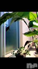 新潟メンズエステ妻色兼美 新潟中央店   (サイショクケンビ　ニイガタチュウオウテン) まいか【SP対応可】(42)の5月18日動画「いちご日記。（イチゴ付き）」