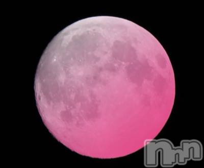 㡦ȯĥꥢ󥺥ƺʿ Ź   (祯ӡ˥奦ƥ) ޤSPбġ(37)48̥֥֥ԥ󥯥ࡼ󡣡