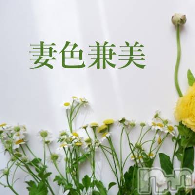 㡦ȯĥꥢ󥺥ƺʿ Ź   (祯ӡ˥奦ƥ) ޤSPбġ(37)59̥֥Green season fair🌿