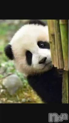 ޤϡ