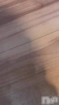 ͽ