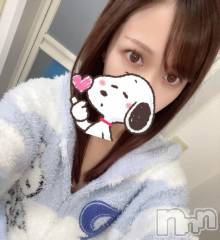 新潟デリヘル新潟人妻　2nd Wife(セカンドワイフ) なみ奥様(26)の1月14日写メブログ「[お題]from:猫動画に連打さん」