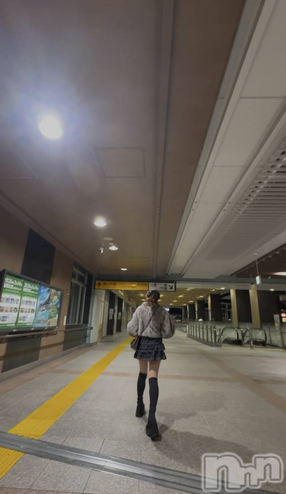 Х顦CLUB ALBATROSS(Хȥ) ޤ1211̥֥