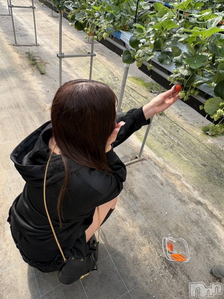 �����������Х��顦�����CLUB ALBATROSS(����Хȥ���) �����ޤ��3��22���̥�֥����������...��