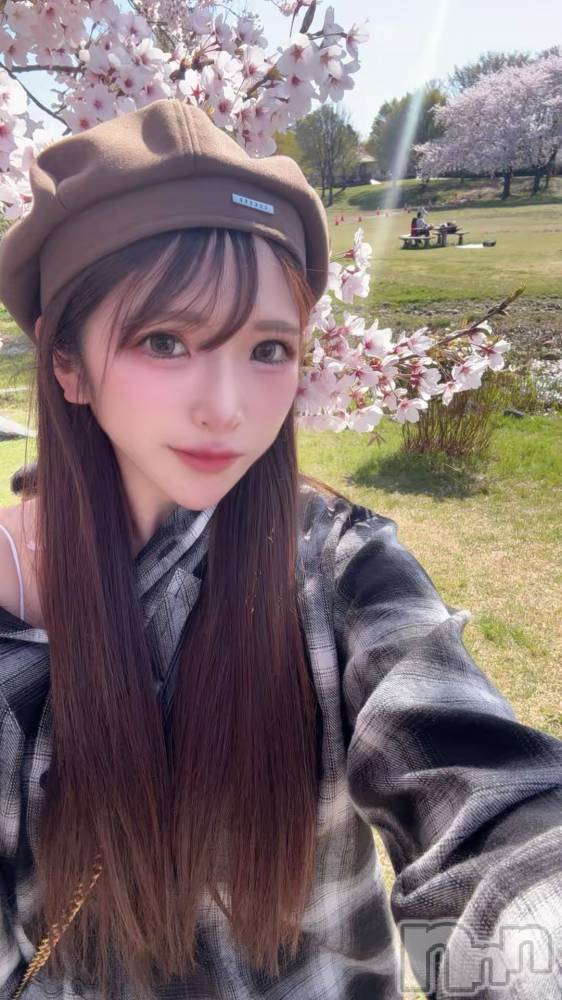 �����������Х��顦�����CLUB ALBATROSS(����Хȥ���) �����ޤ��4��9���̥�֥����ֺ����αĶȤϡ�