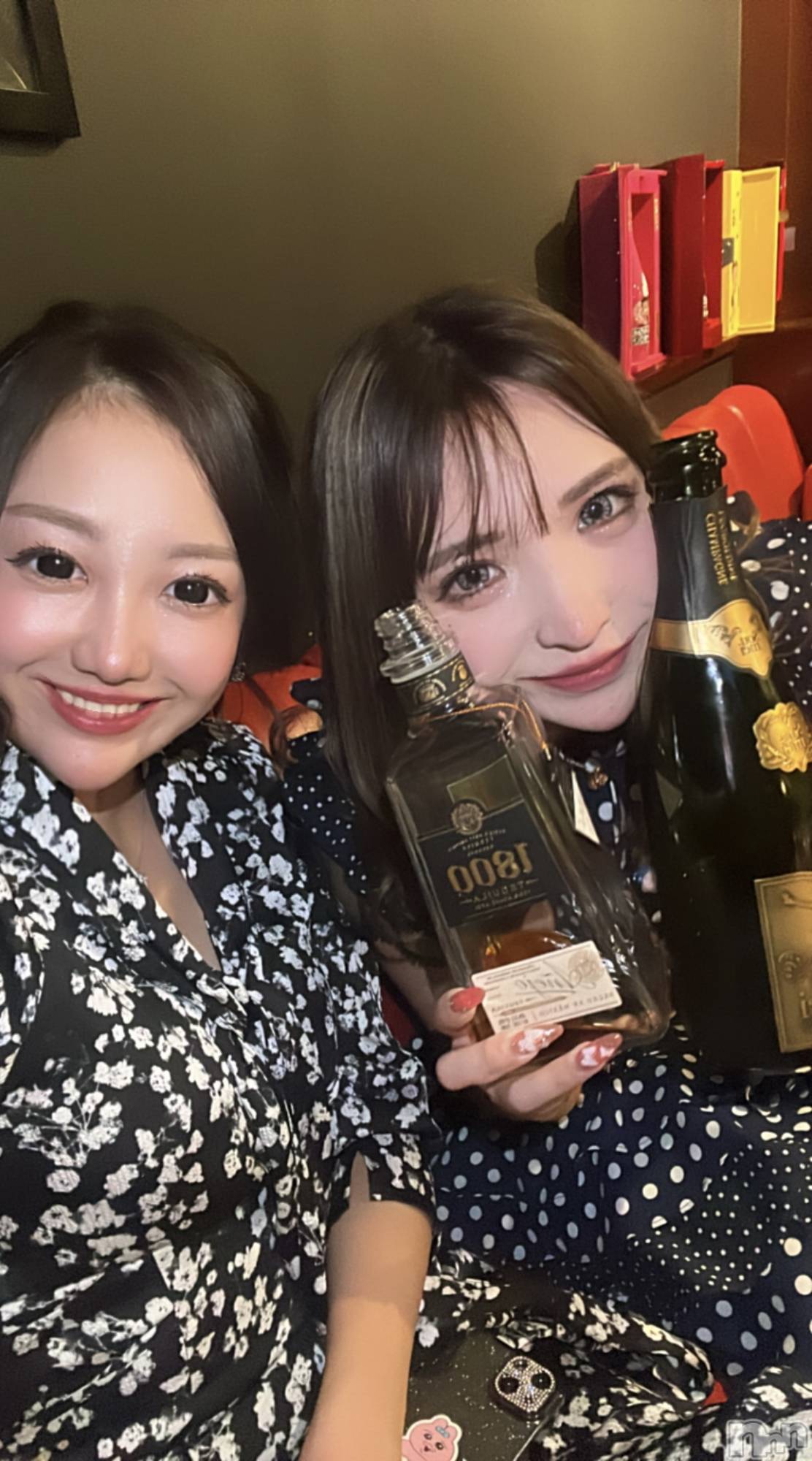 Х顦CLUB ALBATROSS(Хȥ) 2023ǯ1229̥֥֤ޤǼ💗С