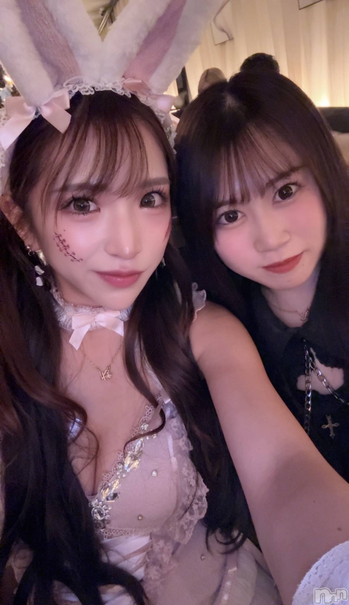 Х顦CLUB ALBATROSS(Хȥ) 2025ǯ1113̥֥ߤ