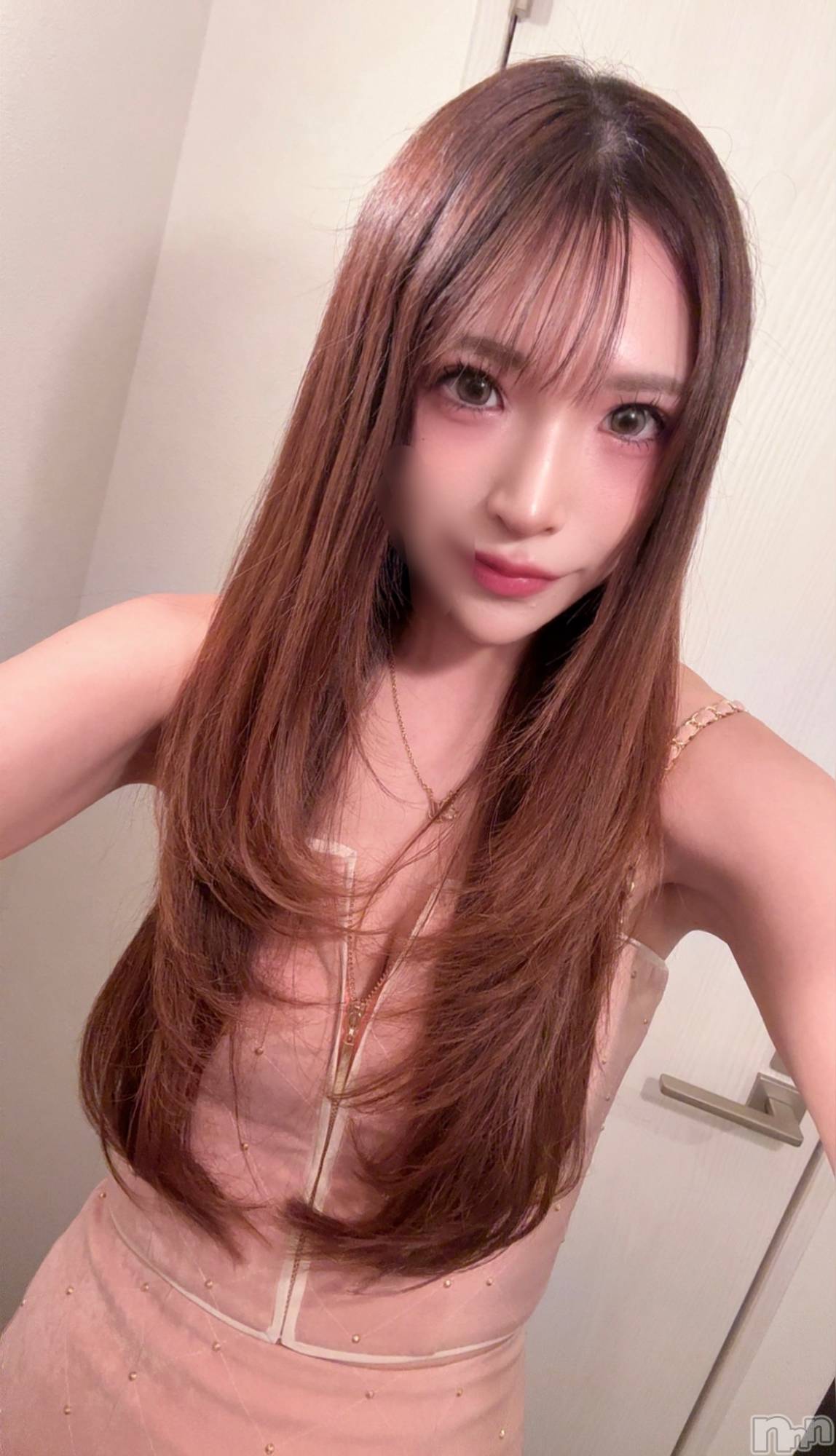 Х顦CLUB ALBATROSS(Хȥ) 2025ǯ1114̥֥֤ɡ