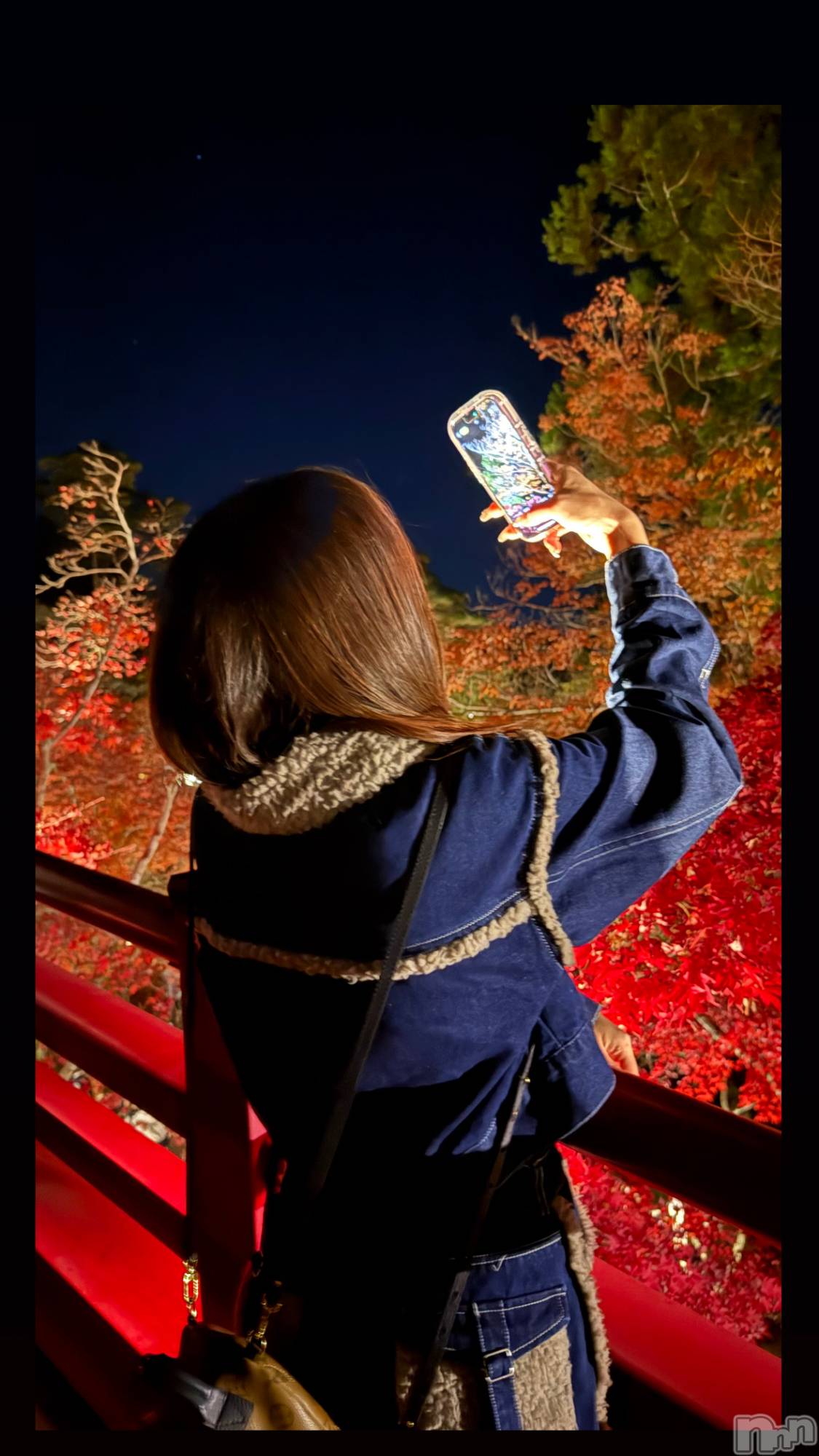 Х顦CLUB ALBATROSS(Хȥ) 2025ǯ1120̥֥֥ƥ˥