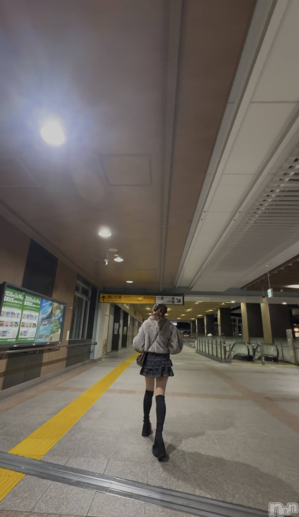 Х顦CLUB ALBATROSS(Хȥ) 2025ǯ1211̥֥