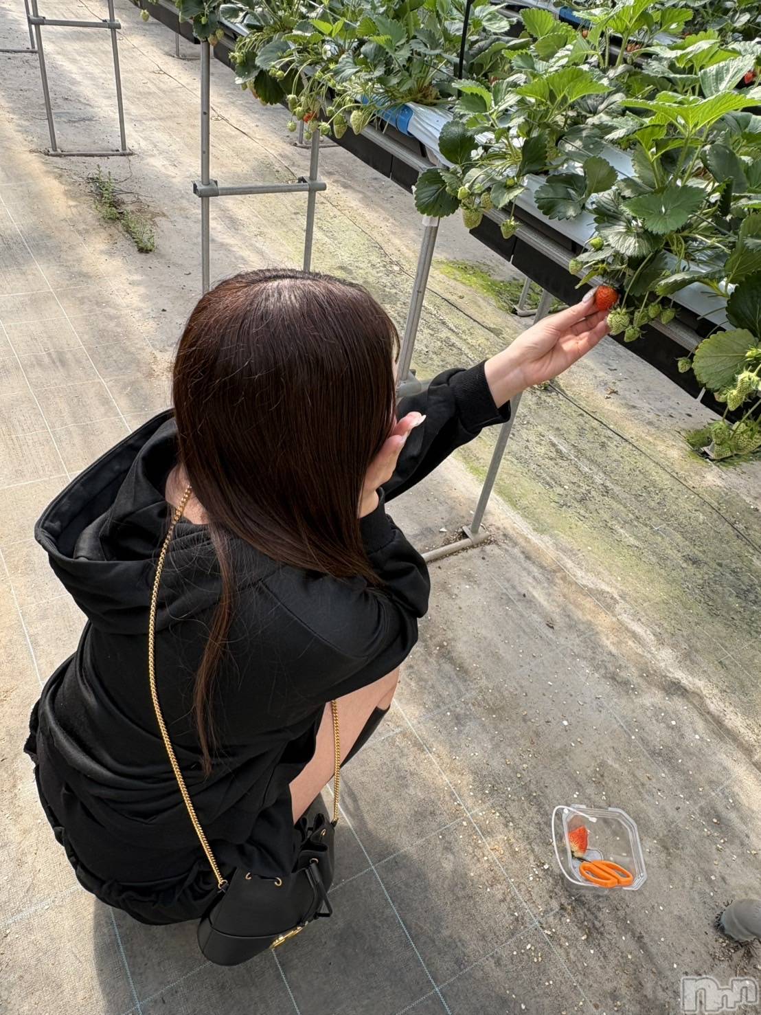 �����������Х��顦�����CLUB ALBATROSS(����Хȥ���) ��2026ǯ3��22���̥�֥����������...��