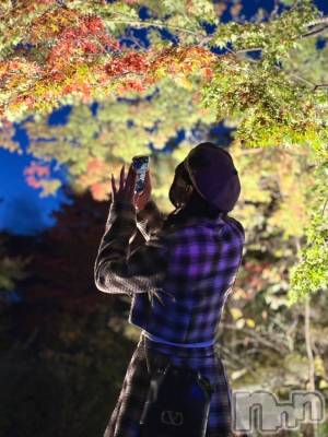 Х顦CLUB ALBATROSS(Хȥ) ޤ114ָ̥֥ۤʡ