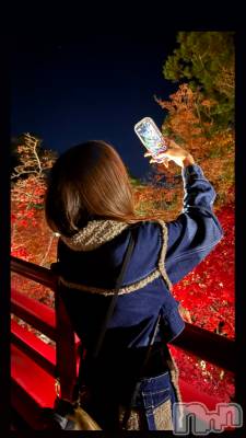 Х顦CLUB ALBATROSS(Хȥ) ޤ1120̥֥֥ƥ˥