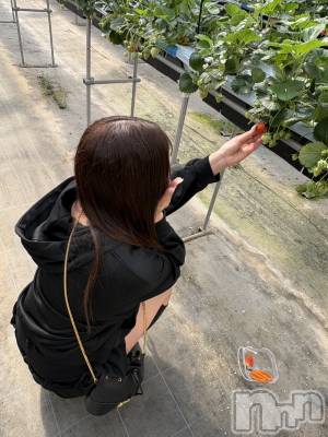 �����������Х��顦�����CLUB ALBATROSS(����Хȥ���) �����ޤ��3��22���̥�֥����������...��