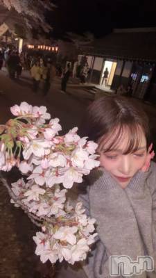 �����������Х��顦�����CLUB ALBATROSS(����Хȥ���) �����ޤ��4��6���̥�֥����֤��Ĥ֤��