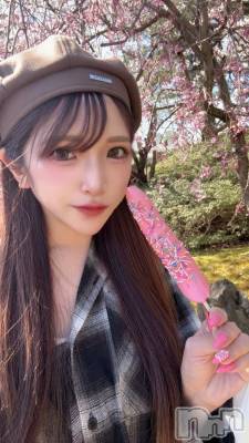 �����������Х��顦�����CLUB ALBATROSS(����Хȥ���) �����ޤ��4��9���̥�֥����֢���������...��