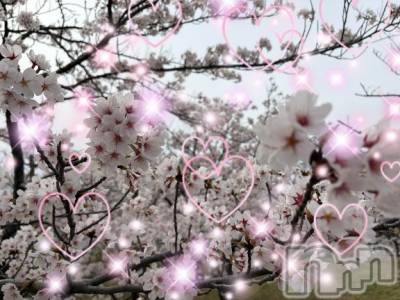 新潟デリヘル 人妻不倫処　桃屋　新潟店(ヒトヅマフリンドコロモモヤ) れんか清楚系エロ(38)の4月8日写メブログ「逆リク❤️」