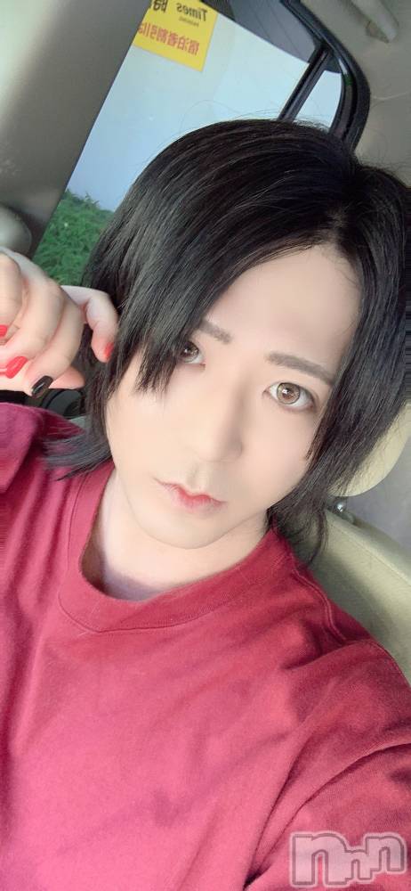 ĮۥȡܡСA151(ݥ) ä1020ְ̥֥ɬס