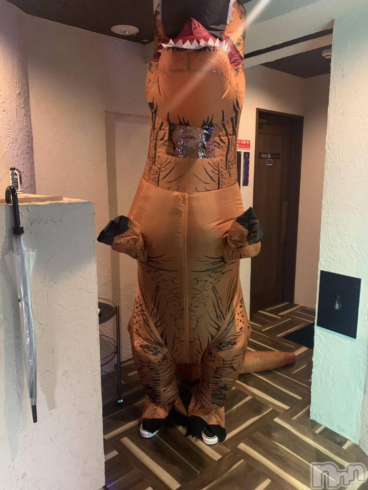 ĮۥȡܡСA151(ݥ) ä1029ֵ̥֥ǯǯ