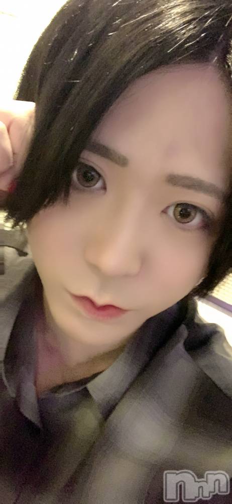 ĮۥȡܡСA151(ݥ) ä1119̥֥֤ΤΤ餻