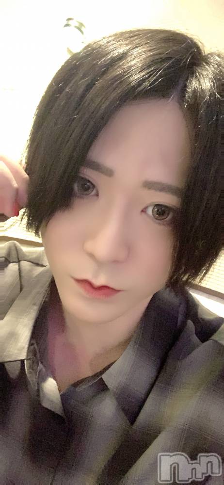 ��Į�ۥ��ȡ��ܡ������С�A151(�����������ݥ���) ������ä�1��10���̥�֥���������ʡ�