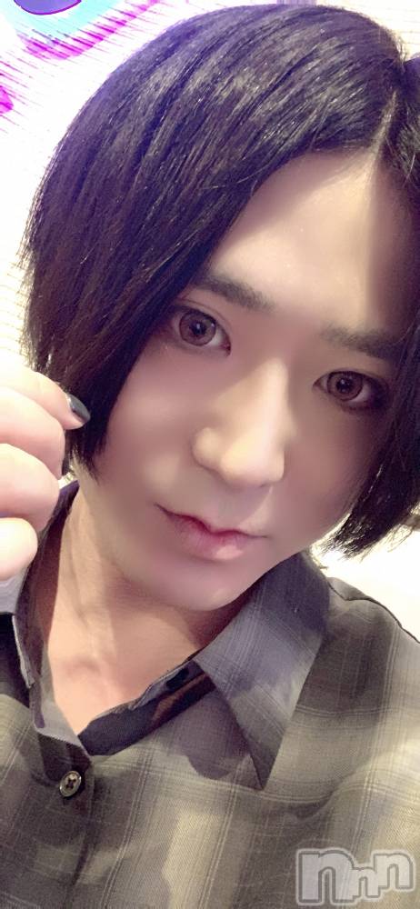 ��Į�ۥ��ȡ��ܡ������С�A151(�����������ݥ���) ������ä�2��21���̥�֥�����20��