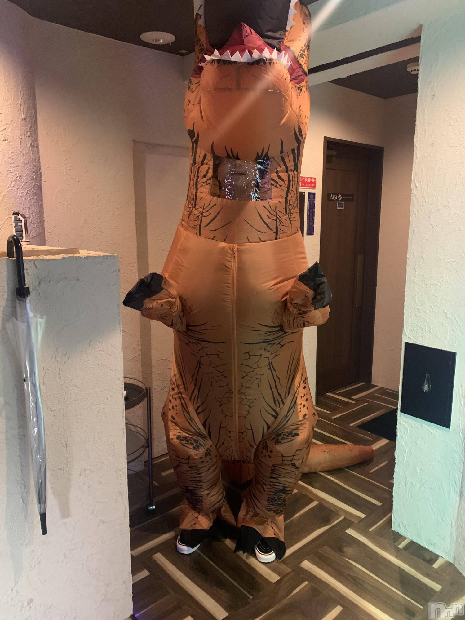 ĮۥȡܡСA151(ݥ) 2025ǯ1029ֵ̥֥ǯǯ