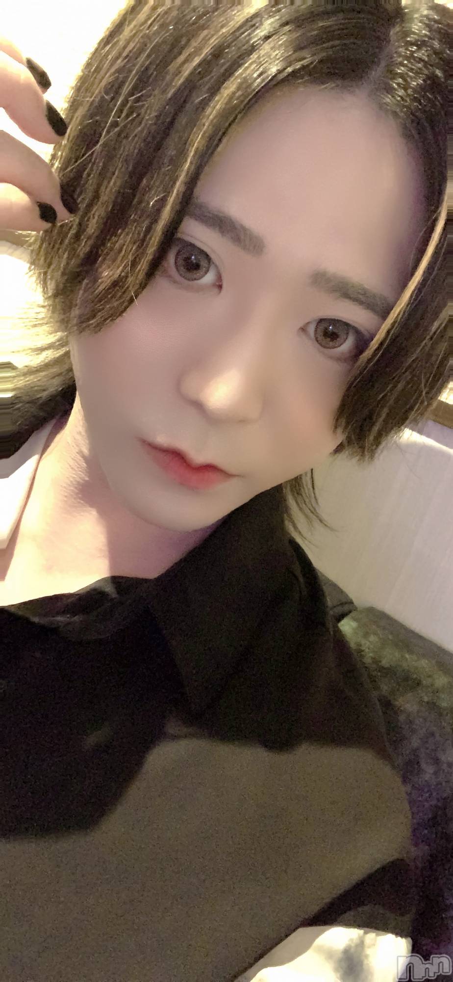 ��Į�ۥ��ȡ��ܡ������С�A151(�����������ݥ���) ��2026ǯ2��28���̥�֥����ֺ����ǺǸ�Ǥ�����