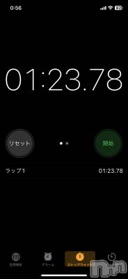 ĮۥȡܡСA151(ݥ) (30)1126̥֥Ǥ
