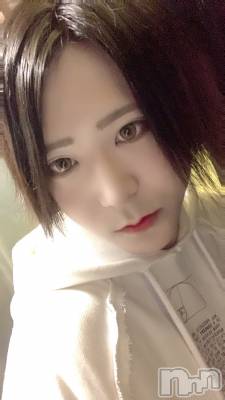 ĮۥȡܡСA151(ݥ) (30)617̥֥Ӥ