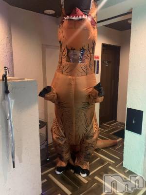 ĮۥȡܡСA151(ݥ) (30)1029ֵ̥֥ǯǯ