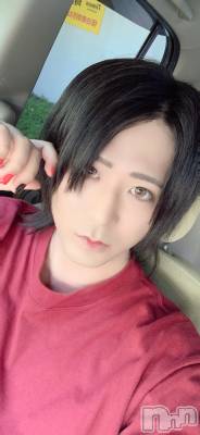 ĮۥȡܡСA151(ݥ) (30)1123̥֥֤ߤޤ