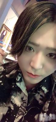 ��Į�ۥ��ȡ��ܡ������С�A151(�����������ݥ���) �������(31)��4��3���̥�֥����ֺ��餤�Ƥ����