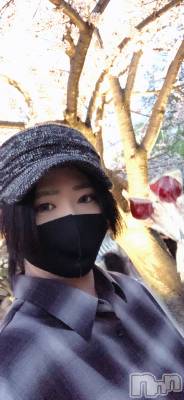 ��Į�ۥ��ȡ��ܡ������С�A151(�����������ݥ���) �������(31)��4��5���̥�֥����֤����ʤ����ʡ�