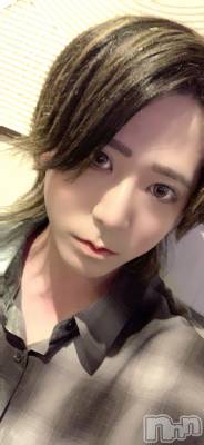 ��Į�ۥ��ȡ��ܡ������С�A151(�����������ݥ���) �������(31)��4��16���̥�֥����ּ���