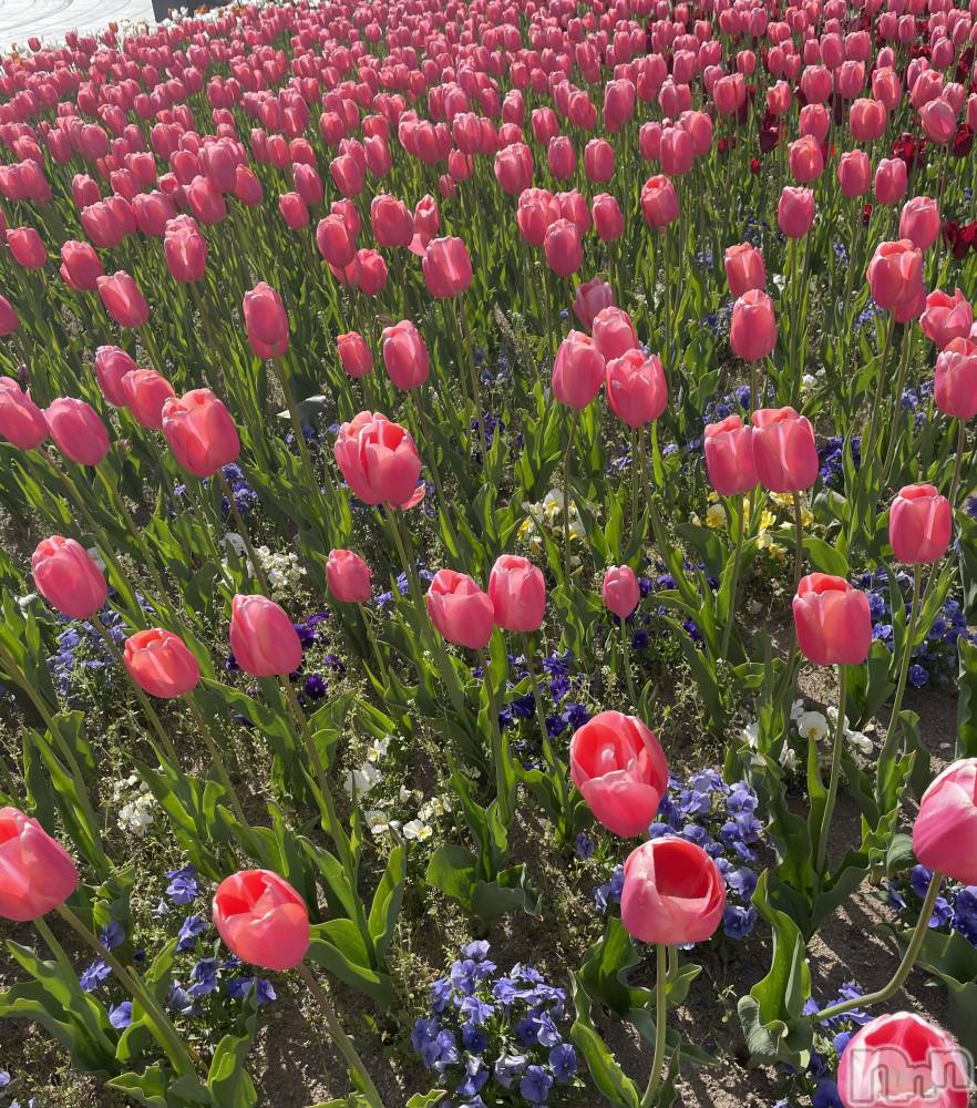 ʥå륺СʥåBar Peace(ʥåС ԡ) ʤ515̥֥🌷