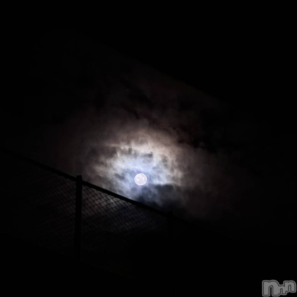 ʥå륺СʥåBar Peace(ʥåС ԡ) ʤ831̥֥🌕