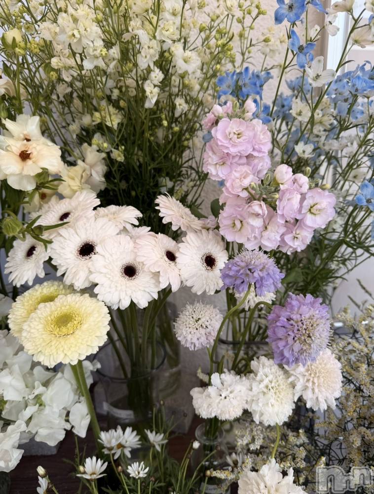 ʥå륺СʥåBar Peace(ʥåС ԡ) ʤ429̥֥🌼
