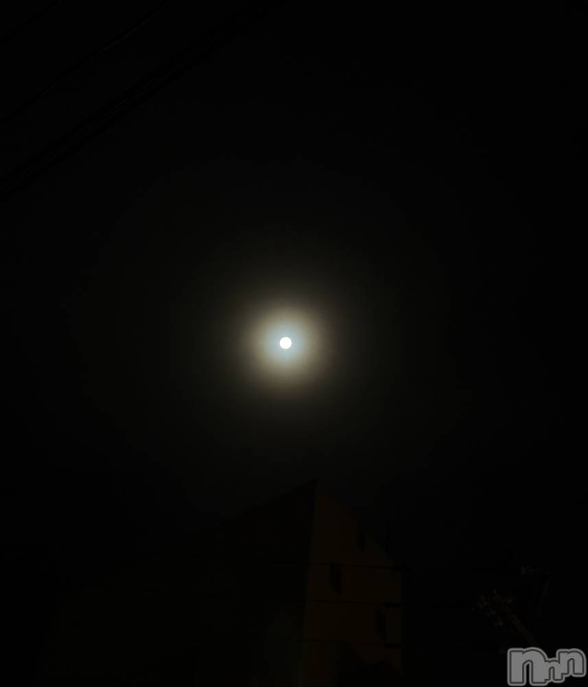 ʥå륺СʥåBar Peace(ʥåС ԡ) ʤ107̥֥🌕