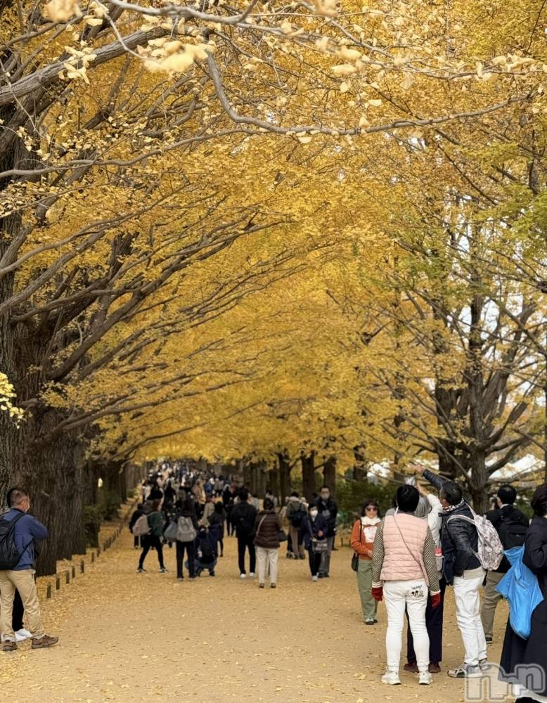 ʥå륺СʥåBar Peace(ʥåС ԡ) ʤ1211̥֥🍁