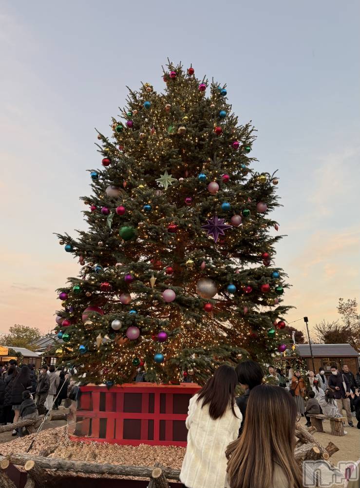 ����������ʥå��������륺�С����ʥå�Bar Peace(���ʥå��С� �ԡ���) ��ʤ�12��25���̥�֥�����🎄��