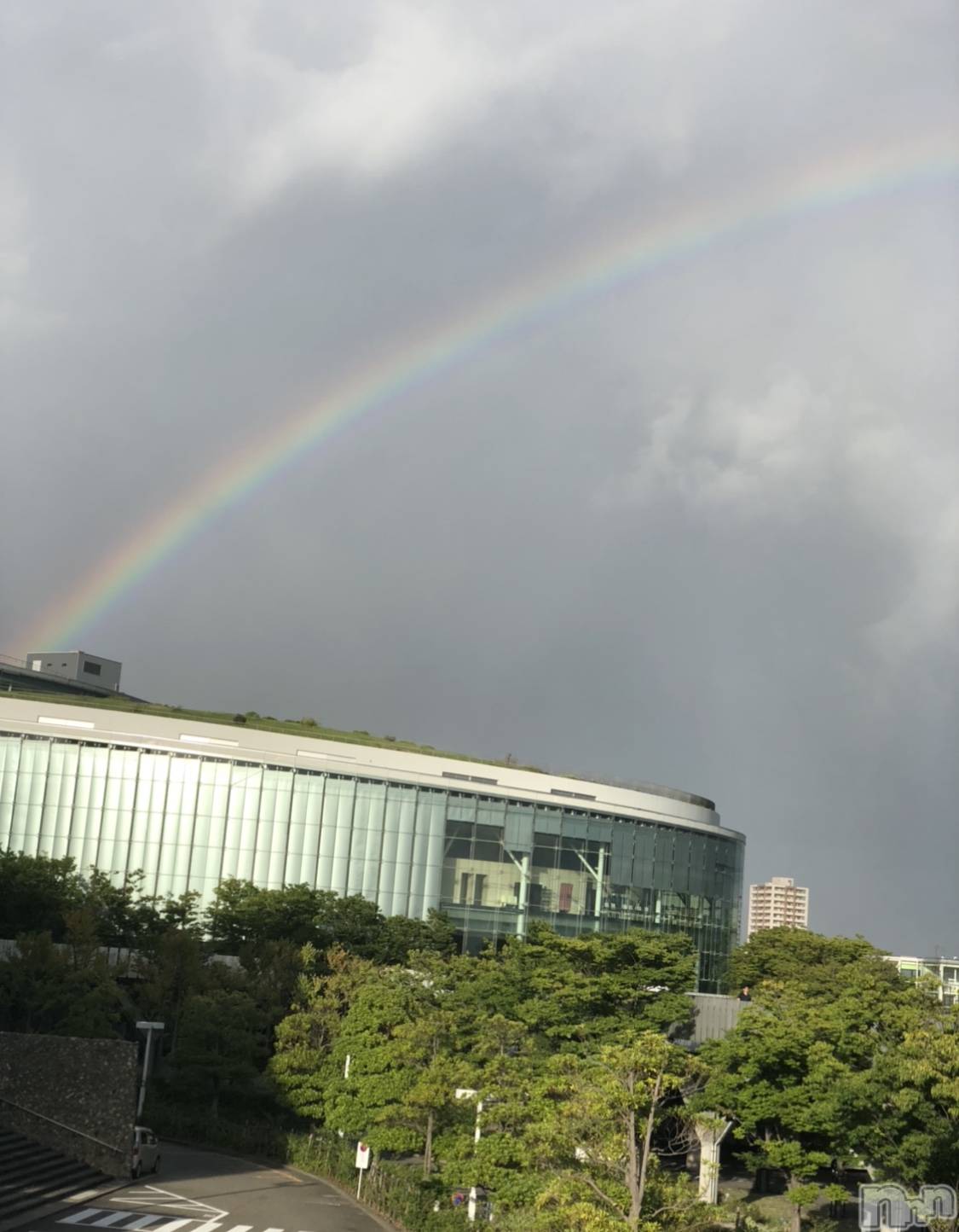 ʥå륺СʥåBar Peace(ʥåС ԡ) 2020ǯ818̥֥🌈