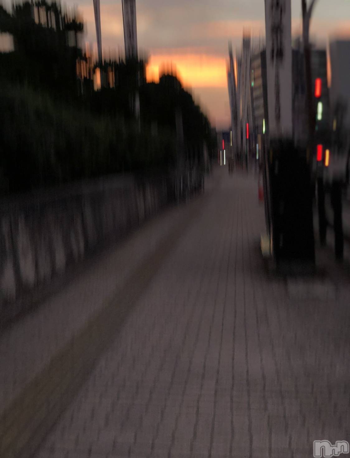 ʥå륺СʥåBar Peace(ʥåС ԡ) 2020ǯ1015ֽ̥֥