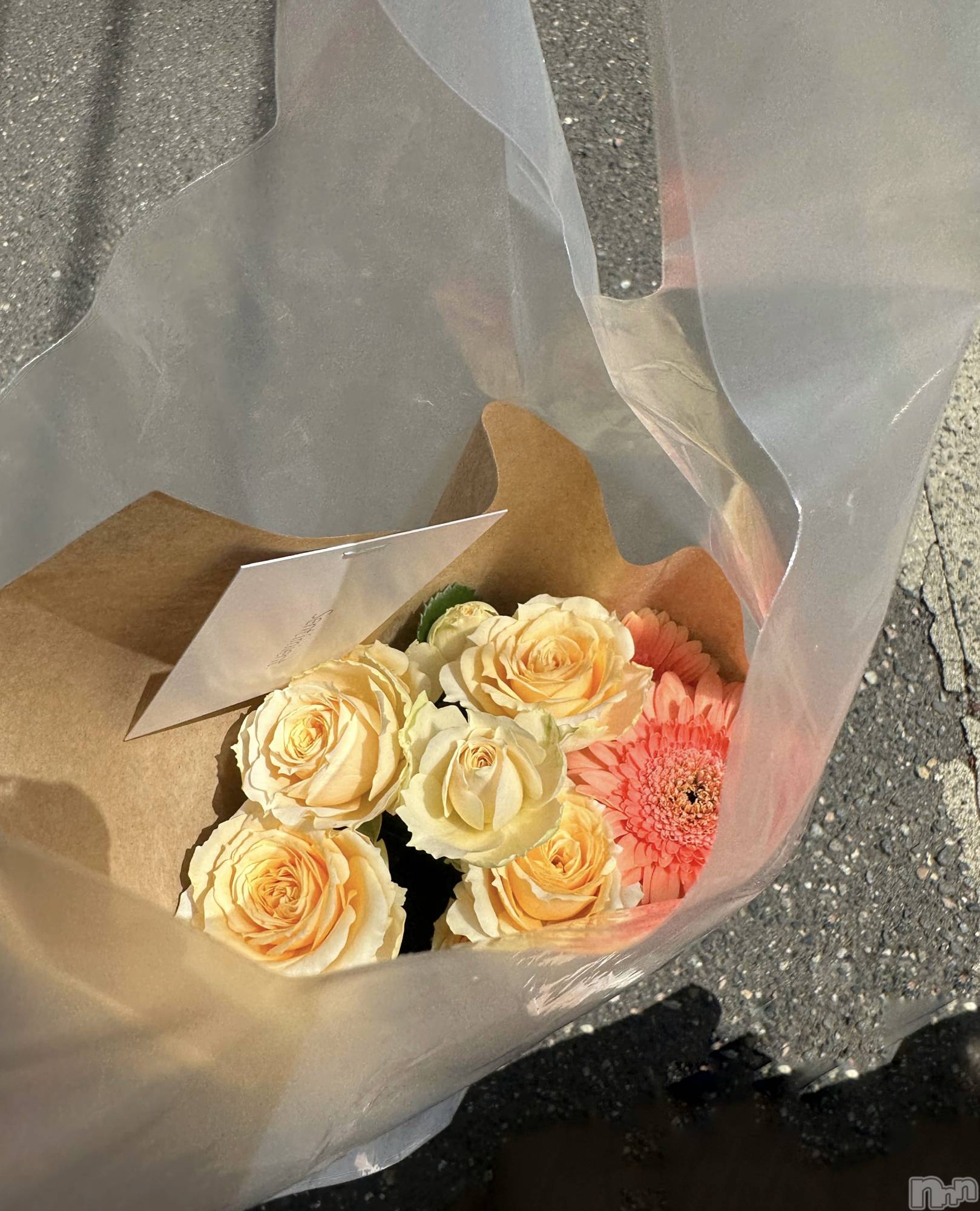 ʥå륺СʥåBar Peace(ʥåС ԡ) 2023ǯ68̥֥💐