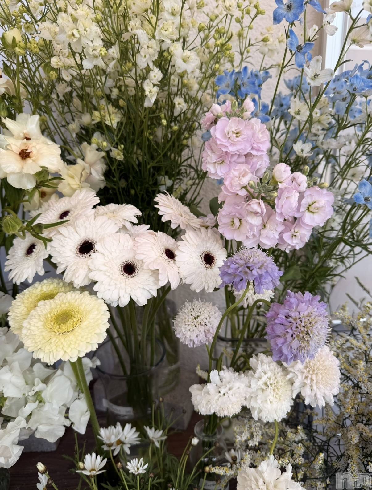 ʥå륺СʥåBar Peace(ʥåС ԡ) 2025ǯ429̥֥🌼